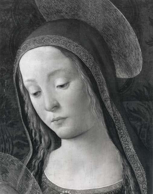 A.C. Keily — Agnolo di Domenico di Donnino - sec. XV/ XVI - Madonna con Bambino in trono — particolare, volto di Maria
